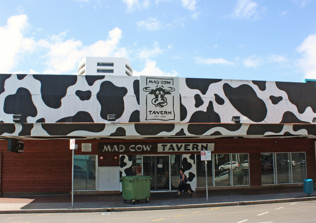 Mad Cow Tavern