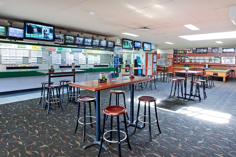 Blue Cattle Dog Hotel