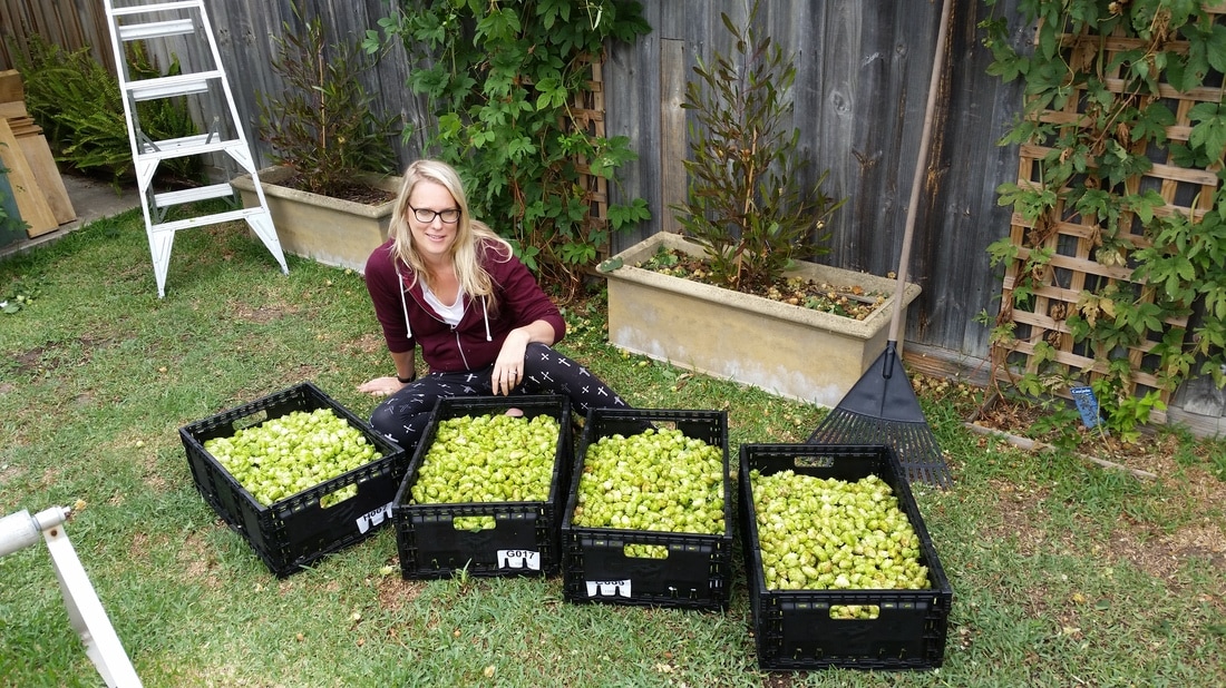 Bale-Worker Project Brewery